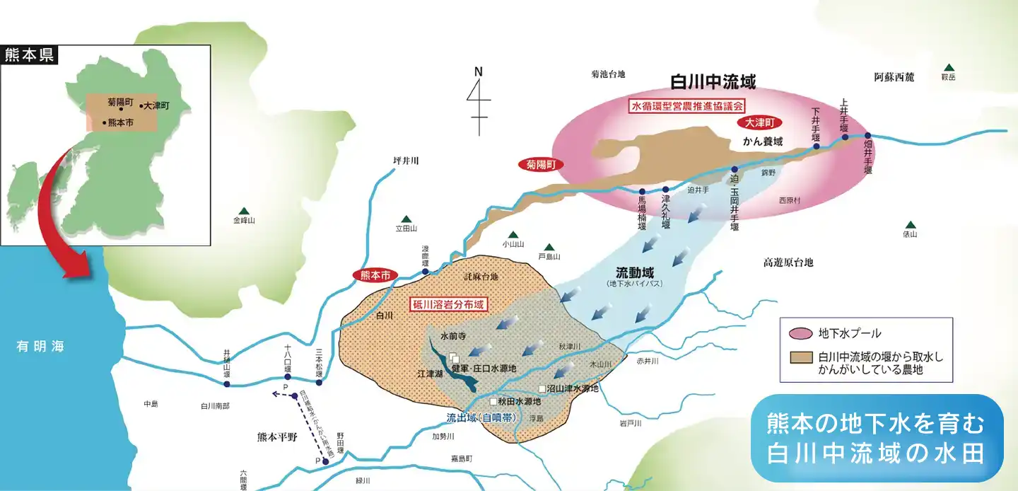 熊本の地下水を育む白川中流域の水田