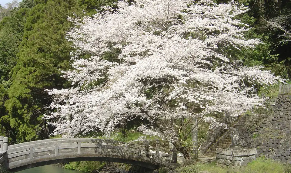 おおきく土地改良区