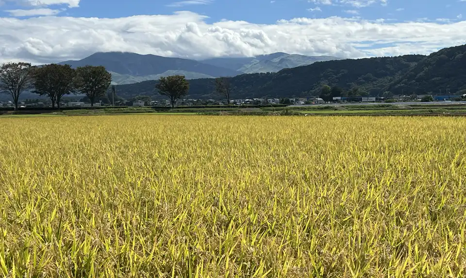 おおきく土地改良区