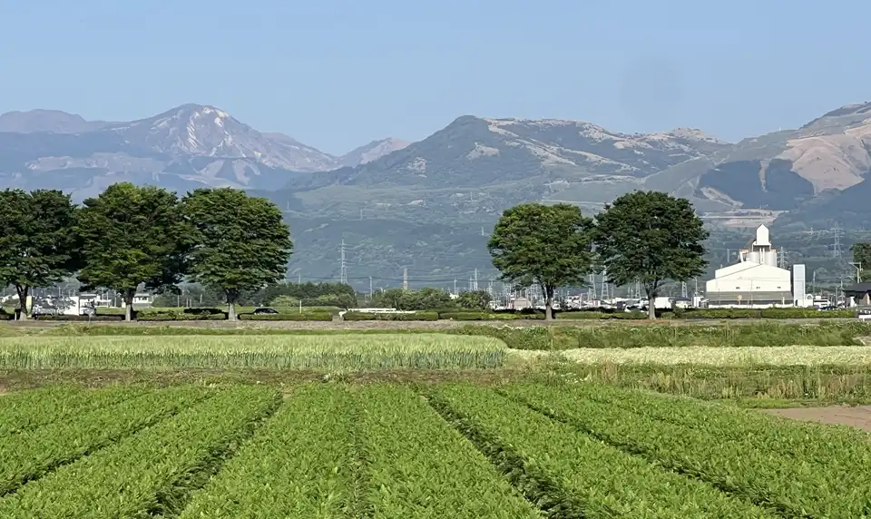おおきく土地改良区