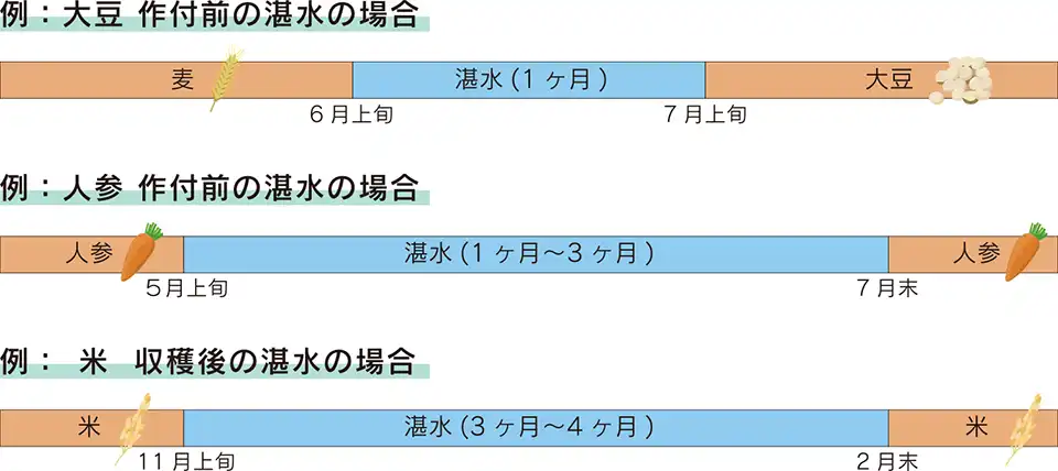 助成対象となる湛水の方法